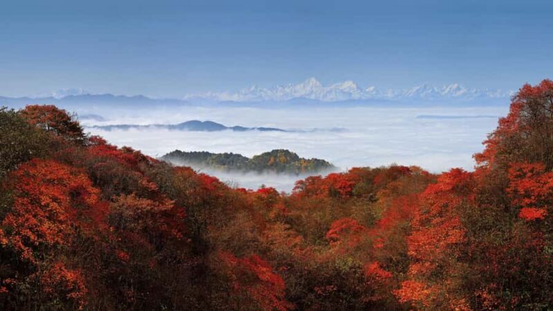 Leshan: Mount Emei Ticket - Who Is This Tour Best For?