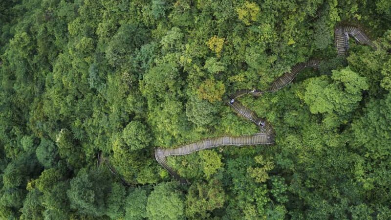 Leshan: Mount Emei Ticket - FAQ