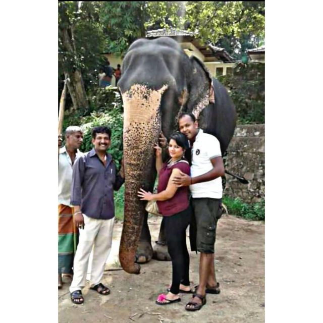 Lesley Tuktuk Safari - Booking and Flexibility