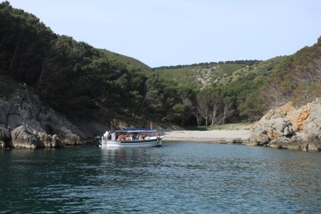 LEstartit: Boat Trip to the Medes Islands and the NP Caves - Full Description