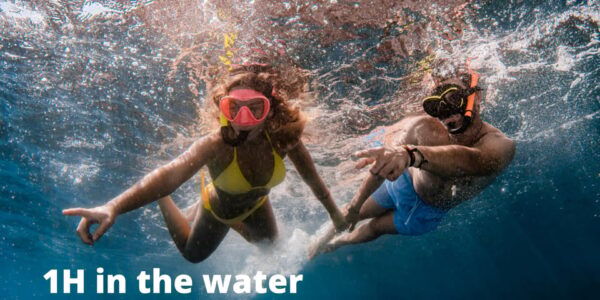 LEstartit: Medas Islands Boat Tour and Swim in Montgrí Park - 1-Hour Swim and Snorkel