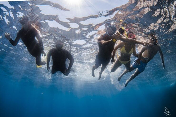 Lestartit: Medes Islands Cruise With Guided Snorkeling - Activity Overview