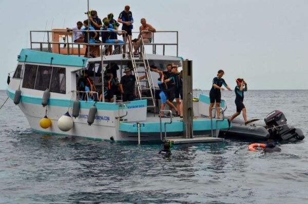 Lestartit: Medes Islands Cruise With Guided Snorkeling - Participant Details