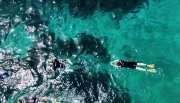 Lestartit: Medes Islands Cruise With Guided Snorkeling - Customer Feedback