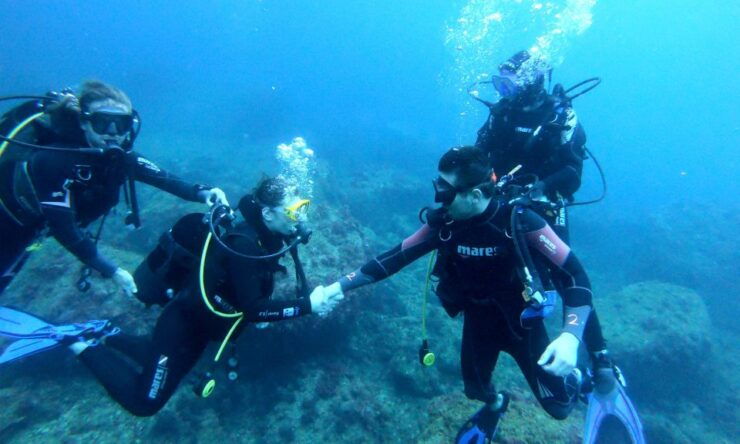 L'Estartit: Try Dive and Snorkeling in Montgrí National Park - Activity Details
