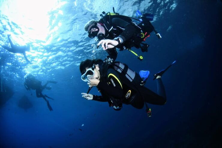 Lestartit: Try Dive in a National Park With Us! - Marine Life Spotting