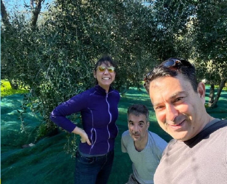 Lesvos Island: Olive Harvesting, 2-5 Hours - Highlights of the Activity