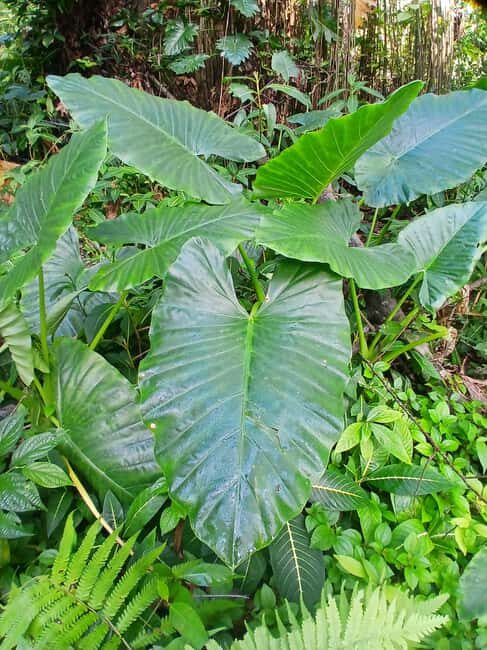 Lethe Mountain Valley Hiking - Good To Know