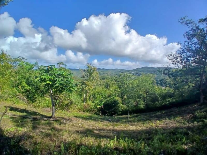 Lethe Mountain Valley Hiking - An Authentic Jamaican Nature Experience