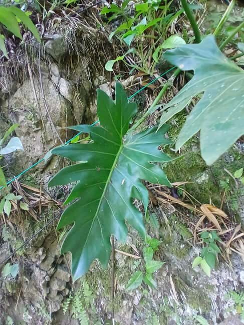 Lethe Mountain Valley Hiking - What Travelers Say