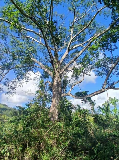 Lethe Mountain Valley Hiking - Practical Details and Value