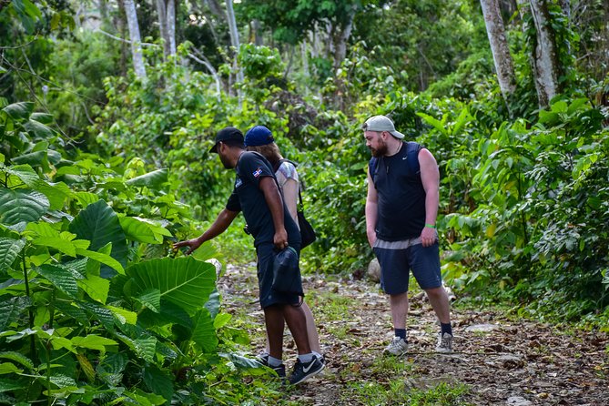 Lets Do Hiking in Punta Cana - Weather Considerations