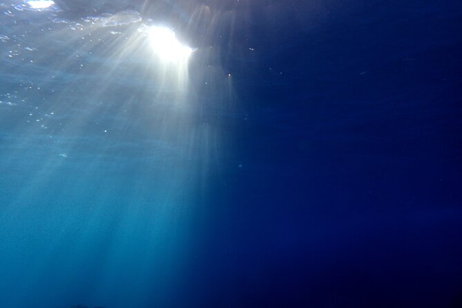 Let'S Enjoy Scuba Diving in Izu Oceanic Park Izu Peninsula for Certificate Diver - Scuba Diving Tips and Guidelines
