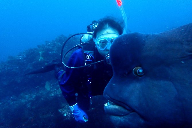 Let'S Enjoy Scuba Diving in Izu Oceanic Park Izu Peninsula for Certificate Diver - The Sum Up