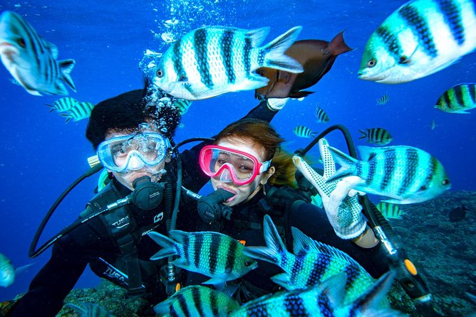 Lets Enjoy Twice as Much as a Set! / Blue Cave Experience Diving Banana Boat - Directions