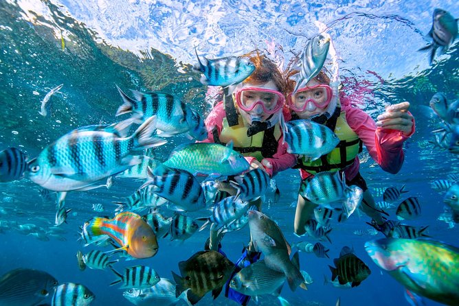 Lets Enjoy Twice as Much as a Set! / Blue Cave Snorkel Banana Boat - Common Questions