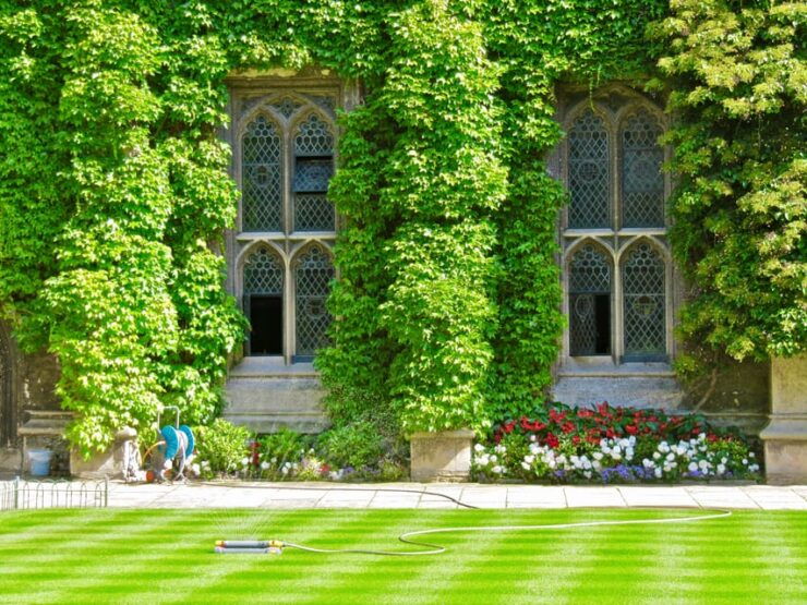 Lets Explore Oxford: Walking Tours - Meeting Point and Accessibility