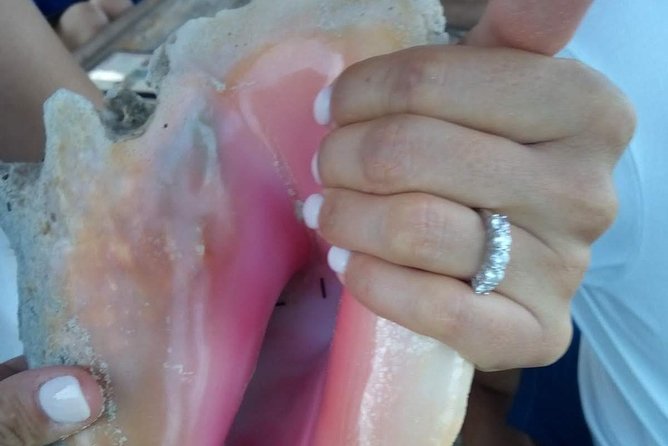 Lets Go Conching ( Private ) W / Lunch & Drinks Included - Experience the Private Conching Adventure