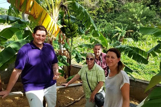 Lets Go Native Roatan City Cultural Tour, Transfer - Accessibility and Restrictions