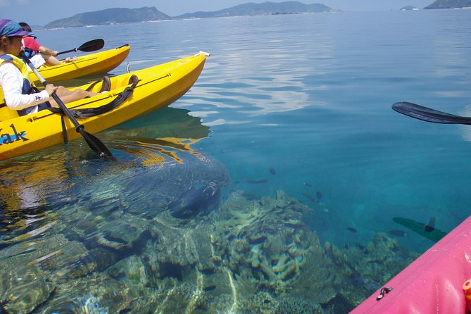 Lets Go to a Desert Island of Kerama Islands on a Sea Kayak - The Sum Up