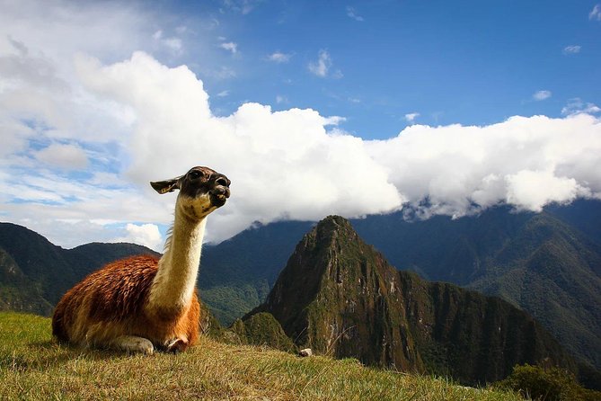 Lets Go to Machu Picchu - Cusco 6 Days - Activities and Sightseeing