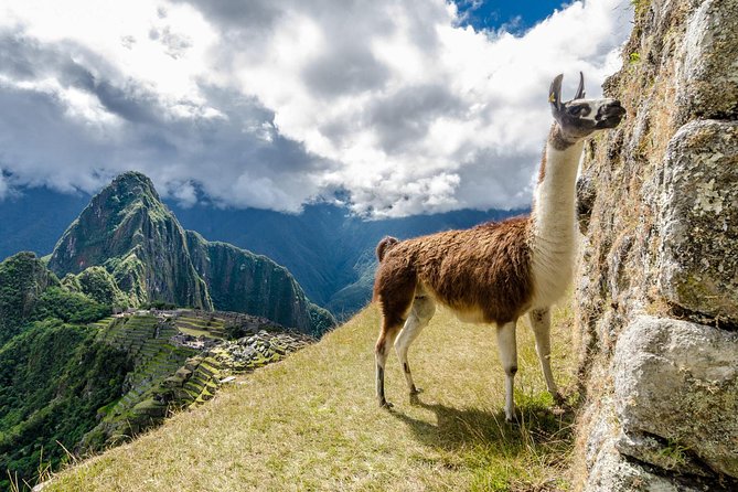 Lets Go to Machu Picchu - Cusco 6 Days - Dining and Culinary Experiences