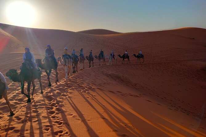 LETS GO Tour MARRAKECH to DESERT TO FES 3 Days - Reviews and Ratings