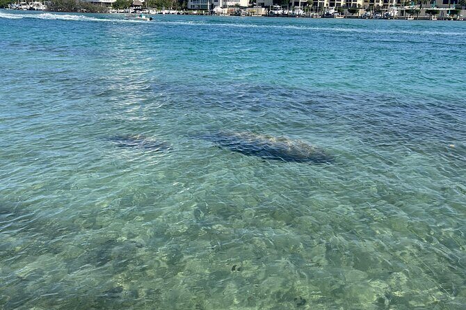 Lets Paddle! Jupiter & surrounding areas - A Closer Look at the Experience