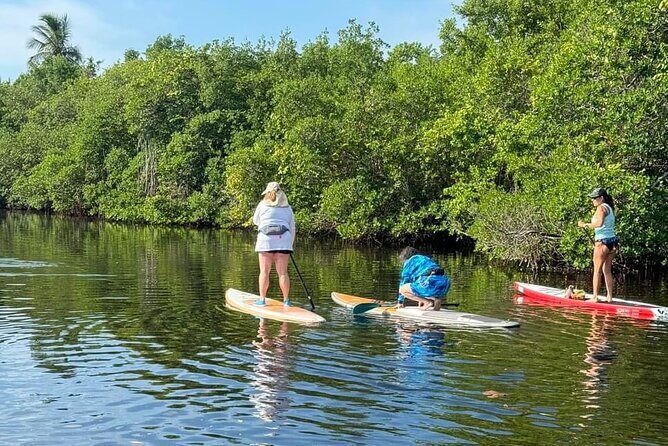 Lets Paddle! Jupiter & surrounding areas - Who is this tour best suited for?