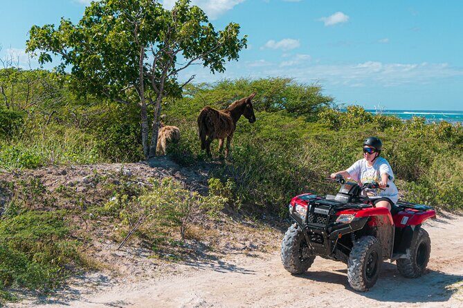 Lets Ride Adventures ATV Tour in Grand Turk - Good To Know