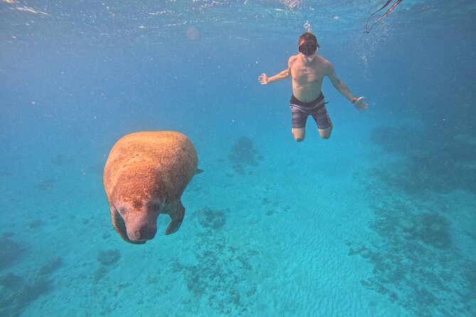 Lets Snorkel Hol Chan the Best Marine Reserve in Belize - Snorkeling Highlights and Inclusions