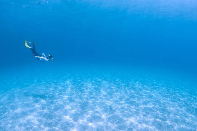 Let's swim with sea turtles in Yakushima!Snorkeling Tour - Good To Know