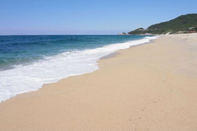 Let's swim with sea turtles in Yakushima!Snorkeling Tour - The Sum Up