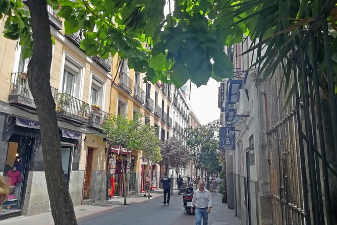 Lets Tapear! The Madrid Tapas Route Walking Audio Tour - Tour Flexibility and Scheduling