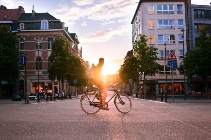 Leuven Private Walking Tour - Key Points