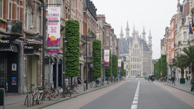 Leuven Private Walking Tour - Historical Significance of Leuven