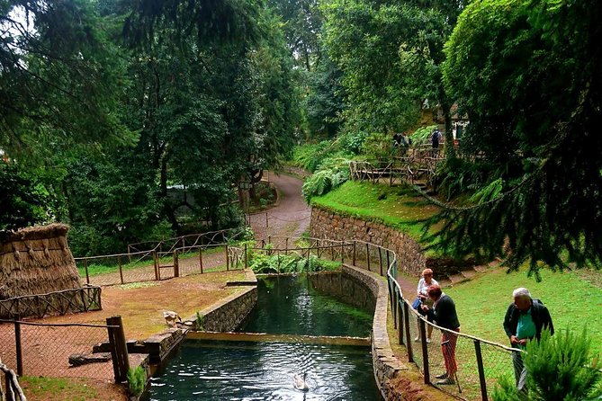 Levada Caldron Green - Tour Highlights and Itinerary