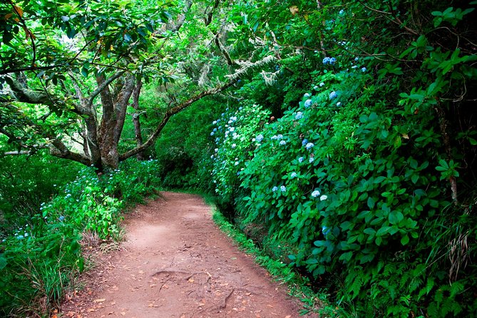 Levada Caldron Green - Booking Details and Requirements