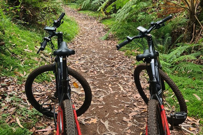 Levada Da Camacha Trail by E-Bike - Inclusions and Operator