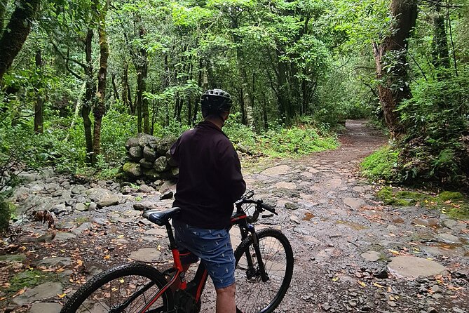 Levada Da Camacha Trail by E-Bike - Booking Information