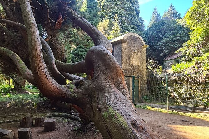 Levada Da Camacha Trail by E-Bike - What To Expect