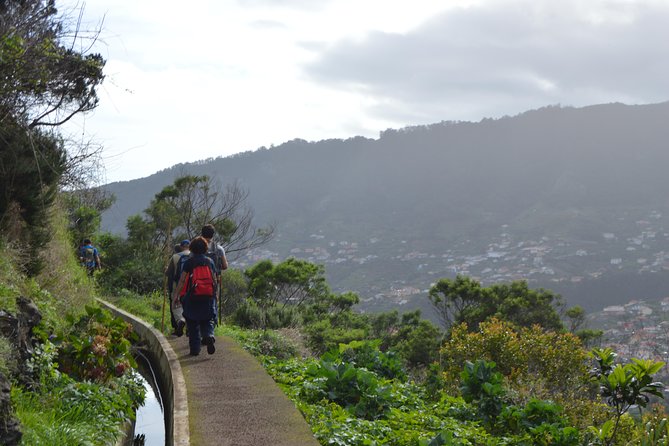 Levada Da Referta - Castelejo - Start Point Near Porto Da Cruz