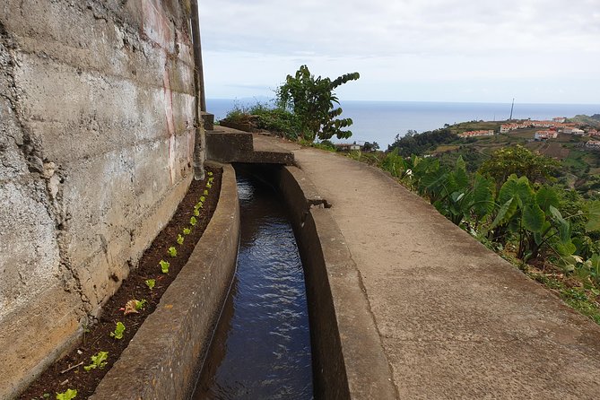 Levada Da Referta - Castelejo - Observation of Cultivated Terraces
