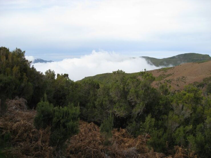 Levada Do Alecrim (Madeira Lakes) Full-Day Walk - Activity Details