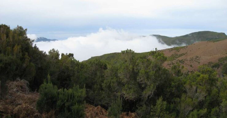 Levada Do Alecrim (Madeira Lakes) Full-Day Walk - Experience Highlights