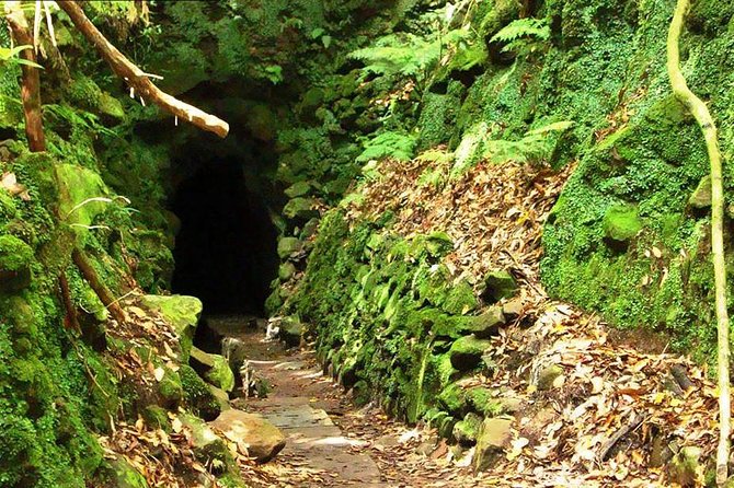 Levada Do Caldeirão Verde Is a Famous Levada Walk Located Near Funchal - Whats Included in the Tour