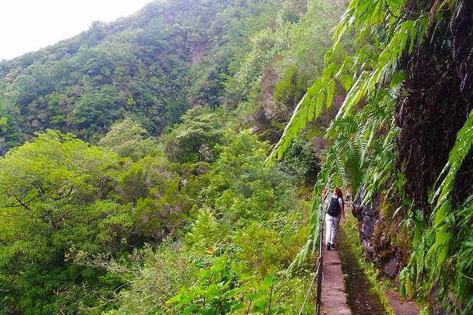 Levada Do Caldeirão Verde Is a Famous Levada Walk Located Near Funchal - Common Questions