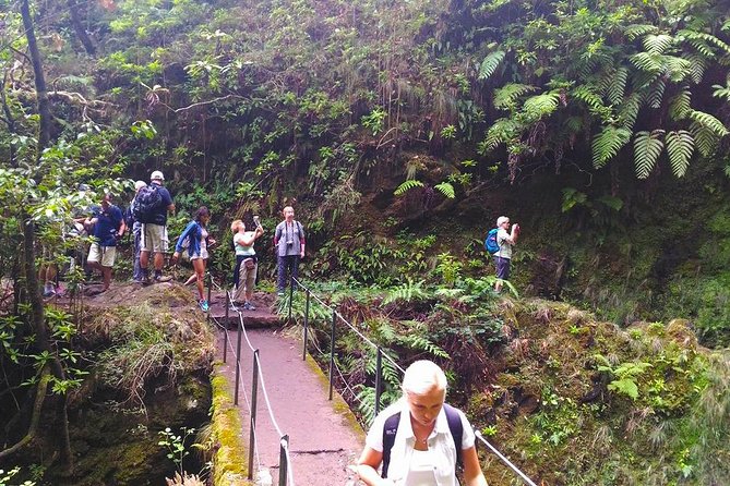Levada Do Caldeirão Verde Is a Famous Levada Walk Located Near Funchal - The Sum Up