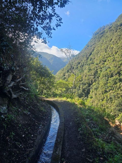 Levada Do Castelejo- Guided Tour by Overland Madeira - Group Size and Pickup