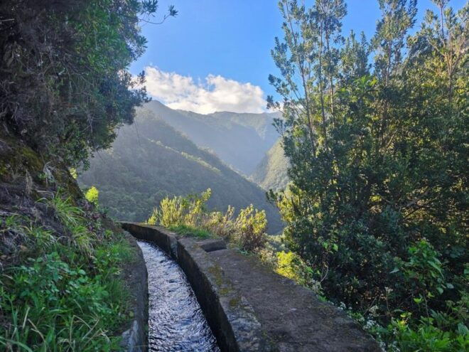 Levada Do Castelejo- Guided Tour by Overland Madeira - Experience Highlights